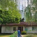 용산-139 | 서울 용산 나들이 : 피크닉 하기 좋은 용산어린이정원 방문 후기