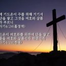 샬롬 이미지