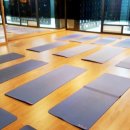 스포벡휘트니스 이미지