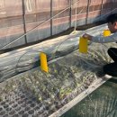 최고농약사 이미지