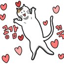 토담마실 이미지