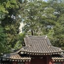 치킨플러스조양점 | 5월 마지막