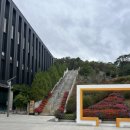 동산동물병원 | 춘천 강아지숲 실제 방문 후기! 반려견 동반 여행지로 최고✨