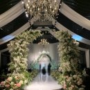 메종 팰리스 대전 이미지