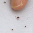 일로와호텔 이미지