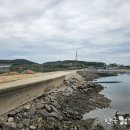 세곡-118 네이버블로그