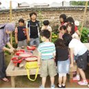 대가야소고기국밥 이미지