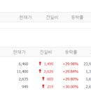 엘앤케이웰니스