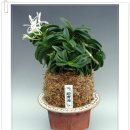 관암농장 이미지