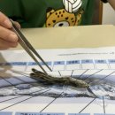 (주)테라팜 이미지