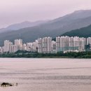 낙동강변4 이미지