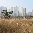 한강신도시 호수공원 이미지