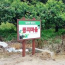 영남디앤지 이미지