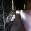 필립스바이크
