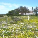 부광자원(주) 이미지