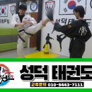 완성태권도장 이미지