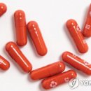 브리오