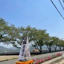 제원다방 이미지