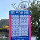 평지못(1) 이미지