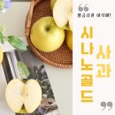 그린청과 이미지