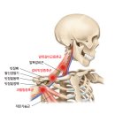 바른몸힘한의원 이미지