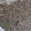 로얄투어 이미지