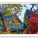 고추연구소농장 이미지