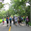 홍성고등학교 이미지