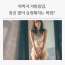 강남슬림라인
