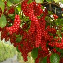 오미자 화장실 이미지