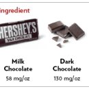 포천동물병원 이미지