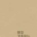 제주여행샵 이미지
