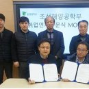 디케이소프트 이미지