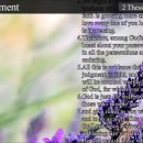 2 Thessalonians (데살로니가후서) 이미지