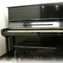 컬러몽실용음악학원 이미지