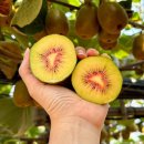 (주)네오게임즈 이미지