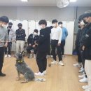 백령고등학교 이미지