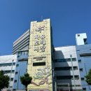 부산 범일동 자유시장 꽃집 추천, 연화꽃집 꽃바구니 너무 예뻤던 후기