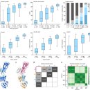 Re: 단백질 구조예측 다음버전 AlphaFold 3. 2024 네이처!! 이미지