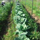 풍동농장 이미지