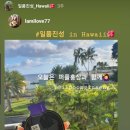 일품진성 이미지