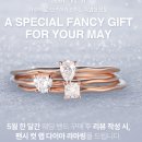 멍멍패션 | 반조애 웨딩링 커스터마이징 후기 예물반지 브랜드 비교 포함