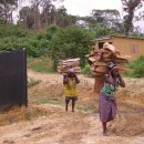 해변수산 이미지