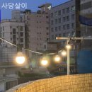 사당살이