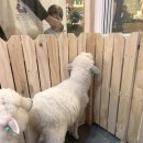 원영목장 이미지