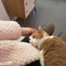 지에스25 숙대드림점 | [리뷰] 뮤트룸 스튜디오 내돈내산 졸업사진 후기