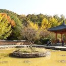 대국화원 이미지