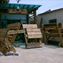 감나무 민박 이미지