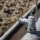 금지농장 이미지