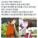 머털도사 | 2012 신 머털도사 후기 머털도사 제발 봐주세요 국산애니의 힘!! 그리고 고수묘선...(※스포주의※)